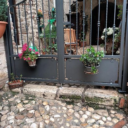Al Cantinone Toffia Bagian luar foto